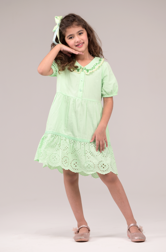 Dress with embroidered collared neckline