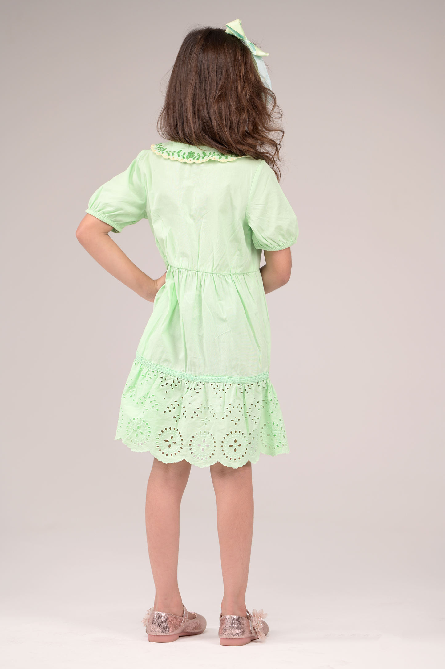 Dress with embroidered collared neckline